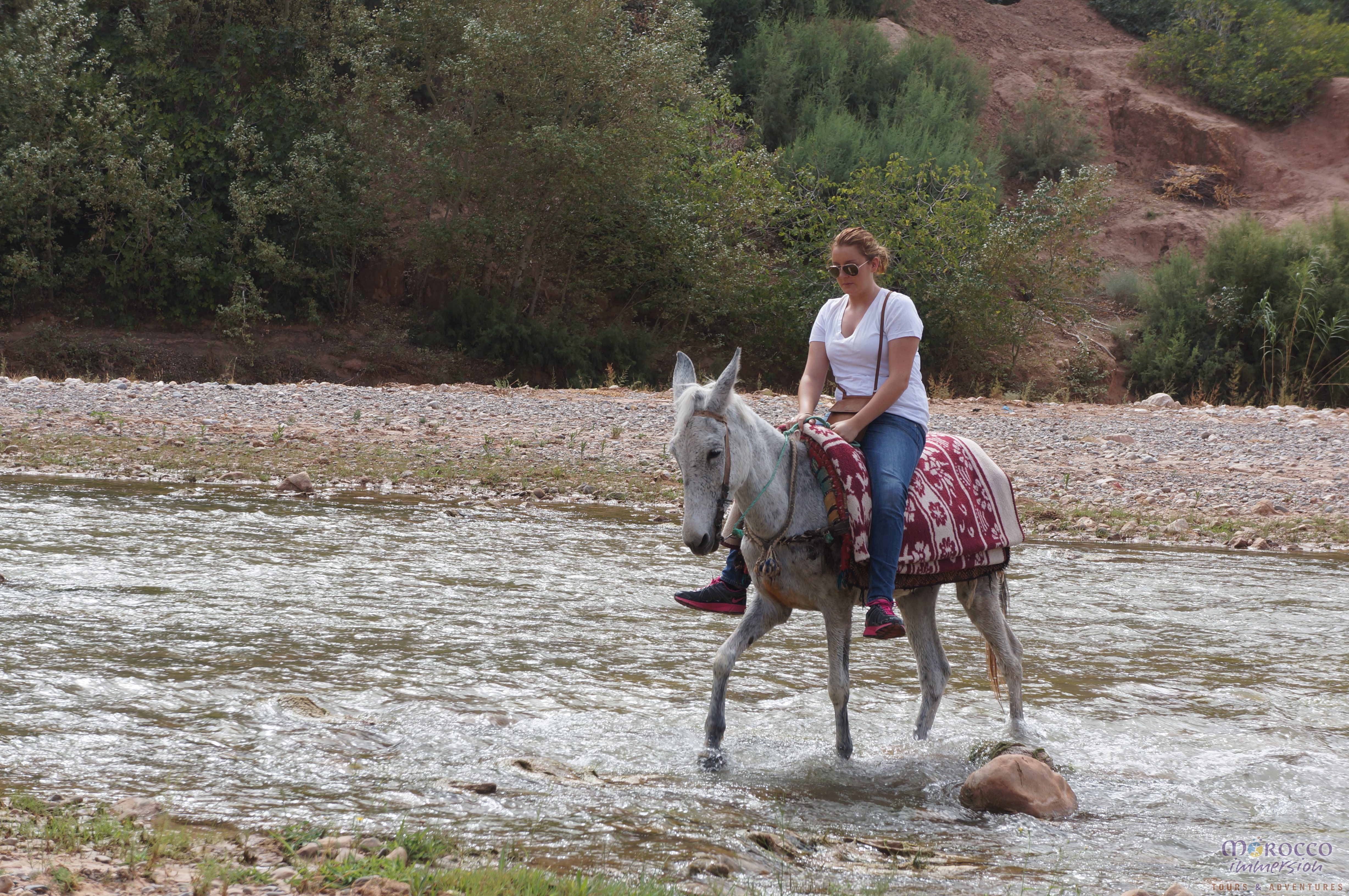 dades gorge mule trek morocco immersion tour