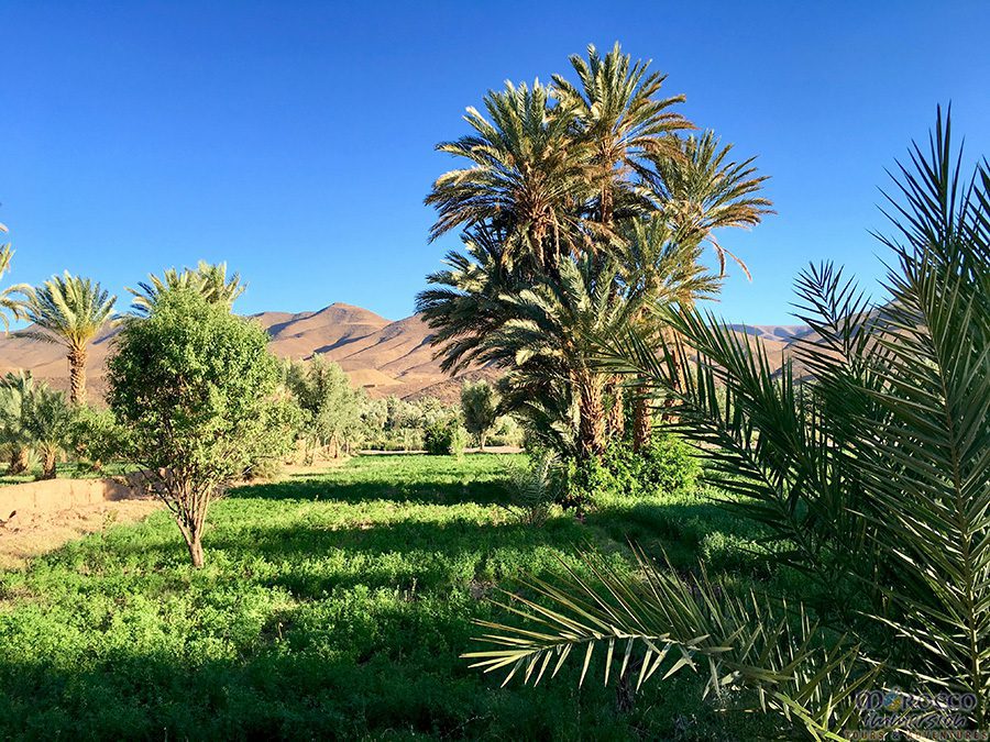 Agdz, Salt Caravan, Morocco