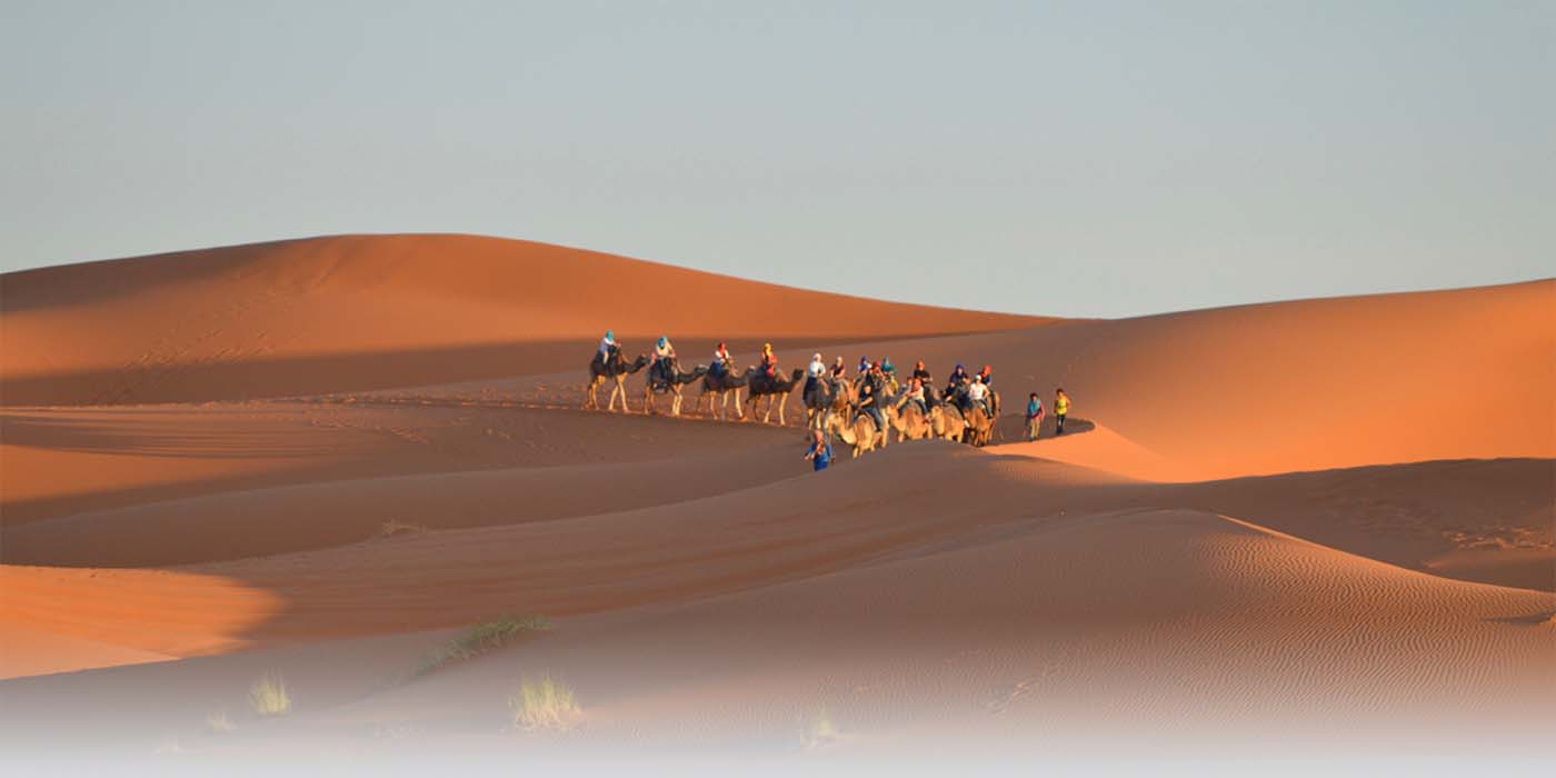 Sahara Desert, Camel Trek, Erg Chebbi